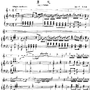 勇气 小号 钢琴伴奏 德 里贝改编