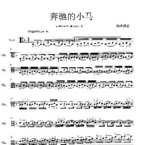 奔驰的小马_歌谱投稿_词曲:杨会林曲
