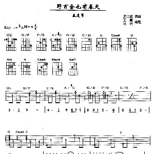 野百合也有春天 吉他谱 孟庭苇