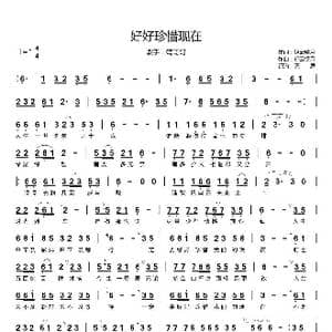 好好珍惜现在_歌曲简谱_词曲:轻云望月 轻云望月