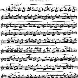 长笛曲谱 | 瑞澈特七首每日长笛练习曲Op.5 NO.5 Reichert 瑞澈特