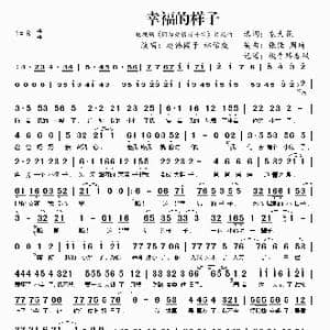 幸福的样子_歌谱投稿_词曲:袁大巍 张佳 周琦