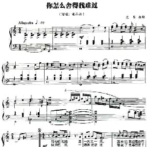 你怎么舍得我难过_通俗唱法乐谱