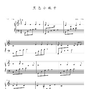 蓝色小秋千 钢琴谱 张霰