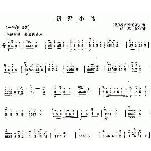 二胡谱 | 滑稽小鸟