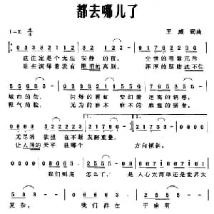 都去哪儿了_通俗唱法乐谱_词曲:王威 王威