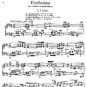 Fantasien über Gedichte von Richard Dehmel Op.9 钢琴谱 亚历山大 封 泽姆林斯基 Alexander von Zemlinsky