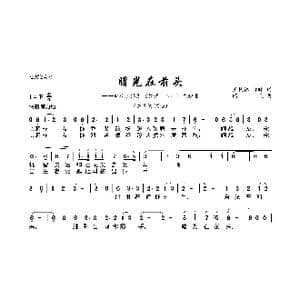 曙光在前头_歌曲简谱_词曲:王扶林 凌晓 阎飞