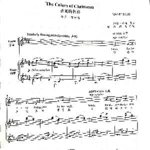圣诞的色彩女声二部合唱谱_歌曲简谱