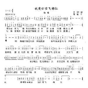 我爱你雪飞梅红_美声唱法乐谱_词曲:张效密 雷敏