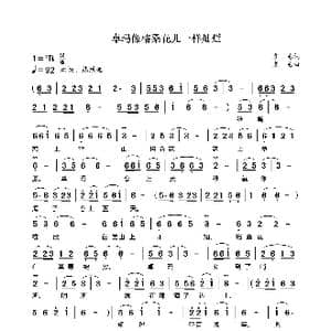 卓玛像格桑花儿一样灿烂_歌曲简谱_词曲:袁龙 袁龙