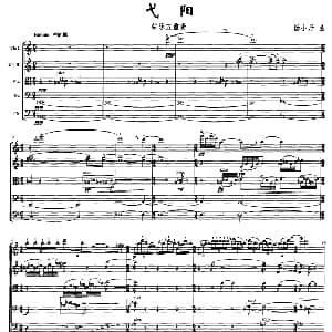 弋阳 弦乐五重奏