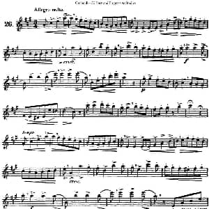 长笛曲谱 | 三十首基础及提高练习曲 NO.26 Garibold 加里波第