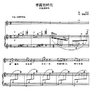 带露的鲜花_民歌简谱_词曲:佚名 张玉晶曲 刘聪配伴奏