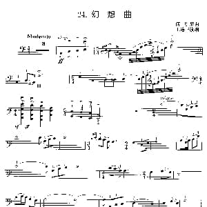 幻想曲 大提琴独奏 傅庚辰曲 王连三改编