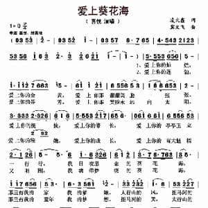 爱上葵花海_歌曲简谱_词曲:凌大鑫 冀文飞