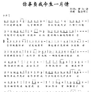 你辜负我今生一片情_通俗唱法乐谱_词曲:梦如诗 轻云望月