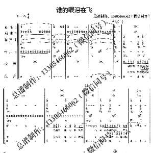 谁的眼泪在飞_歌曲简谱