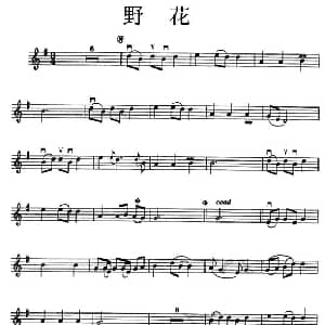 小提琴谱 | 野花