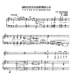 我好比生长在田野里的小草 俄罗斯 _外国歌谱_词曲: 俄 柴可夫斯基