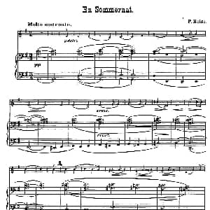 小提琴谱 | En sommernat. 小提琴 钢琴伴奏