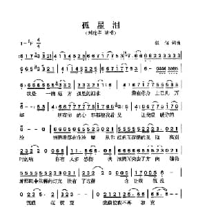 孤星泪_通俗唱法乐谱_词曲:伍佰 伍佰