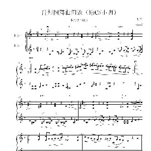 小提琴谱 | 肖邦圆舞曲 原升C小调钢琴曲 为两把小提琴的名曲缩编 肖邦作曲 wss