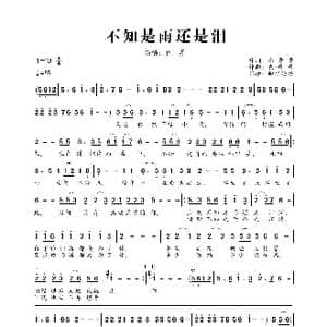 不知是雨还是泪_歌曲简谱_词曲:杰哥哥 杰哥哥