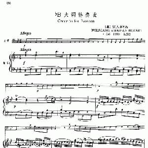 降B大调协奏曲 大管 钢琴伴奏 奥 莫扎特
