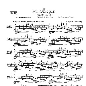 53首以肖邦练习曲为素材而作的练习曲 钢琴谱 里奥鲍尔德 戈多夫斯基