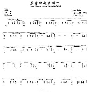 口琴谱 | 罗密欧与朱丽叶 意 尼诺 罗塔
