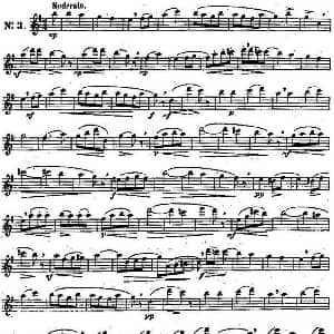 长笛曲谱 | 二十首练习曲作品131号 NO.3 Garibold 加里波第