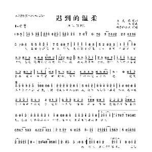 迟到的温柔_歌曲简谱_词曲:张灵茹 陈伟