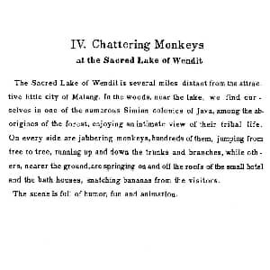 Java Suiten 钢琴谱 里奥鲍尔德 戈多夫斯基