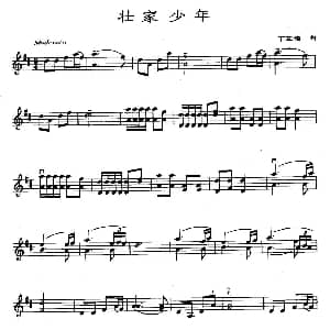 小提琴谱 | 壮家少年 丁芷诺