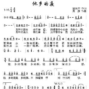 他乡的夜_通俗唱法乐谱_词曲:梁永辉 高志平