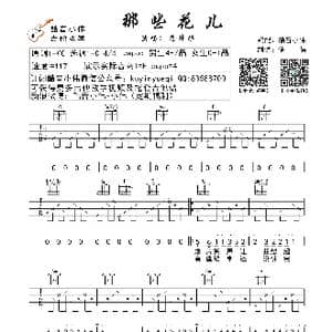 那些花儿_歌曲简谱_词曲:朴树 朴树