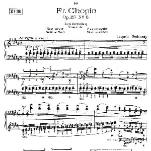 肖邦 练习曲 Fr.Chopin Op.25 No6 钢琴谱 Godowsky改编
