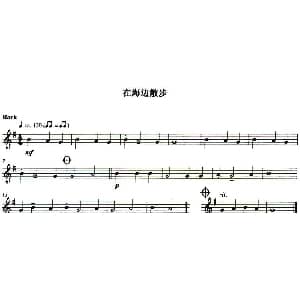 长笛曲谱 | 在海边散步