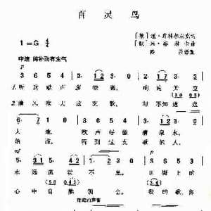 百灵鸟_歌谱投稿