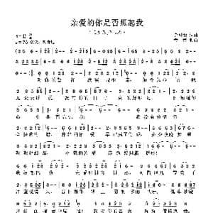 亲爱的你是否想起我 三步踩舞曲版_歌曲简谱_词曲:党明毅 党明毅
