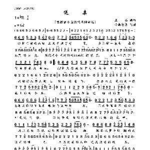 送亲_歌曲简谱_词曲:王琪 王琪