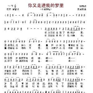 你又走进我的梦里_歌谱投稿_词曲:银燕 席国荣