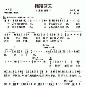 翱翔蓝天_歌曲简谱_词曲:王平久 雷雨