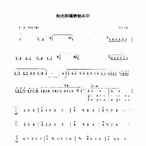 笛子谱 | 阳光照耀着帕米尔 笛子 杜次文
