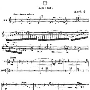 二胡谱 | 思 二胡 扬琴 蔺海雄