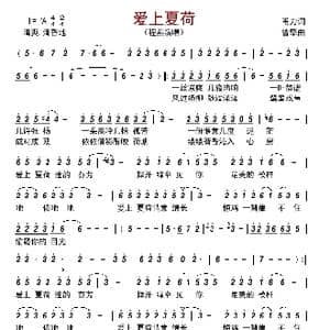 爱上夏荷_歌曲简谱_词曲:甬力 曾擎