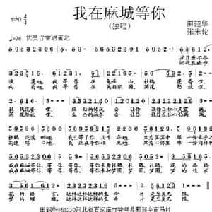 我在麻城等你_民歌简谱_词曲:田韶华 张朱论