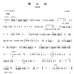 瑶山雨 高胡独奏