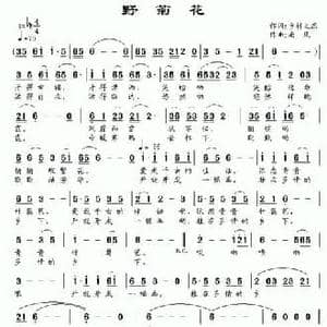 野菊花_民歌简谱_词曲:乡村之恋 南风